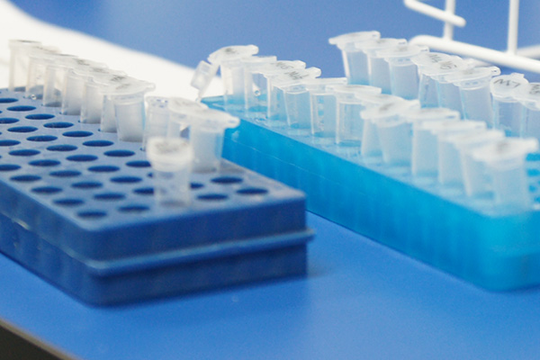 无锡专业亲子鉴定医院,无锡妇保院亲子鉴定程序是什么